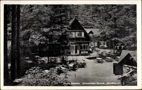 Ak Lohmen im Elbsandsteingebirge, Uttewalder Grund, Waldidylle