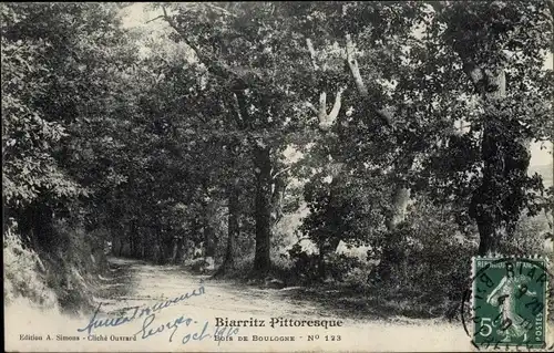Ak Biarritz Pyrénées Atlantiques, Bois de Boulogne