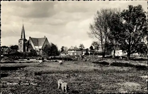 Ak Wierden Overijssel, Grote Maat, Kirche, Schafe