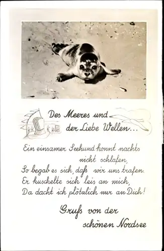 Ak Nordsee Deutschland, Seehund am Strand, Des Meeres und der Liebe Wellen