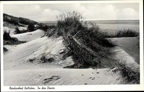 Ak Baltrum, In den Dünen