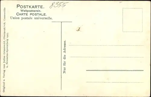 Ak Hohwald Neustadt in Sachsen, Heilstätte, See