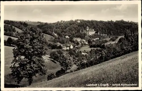 Ak Liebstadt Erzgebirge Sachsen, Schloss Kuckuckstein