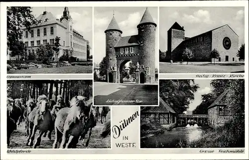 Ak Dülmen in Westfalen, Lüdinghauser Tor, Gymnasium, Heilig Kreuz Kirche, Teichmühle, Wildpferde