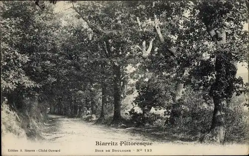 Ak Biarritz Pyrénées Atlantiques, Bois du Boulogne