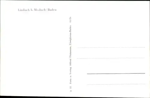 Ak Limbach in Baden Odenwald, Panorama, Bahnhof, Teilansicht