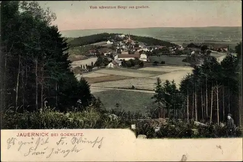 Ak Jauernick bei Görlitz in Sachsen, Blick vom schwarzen Berg aus, Ort, Wald, Felder