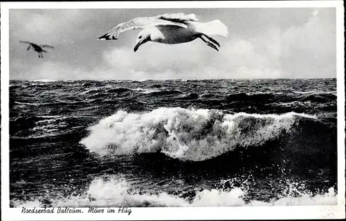 Ak Norderney in Ostfriesland, Möwe im Flug über dem Meer, Brandung