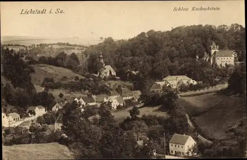 Ak Liebstadt Erzgebirge Sachsen, Schloss Kuckuckstein mit Umgebung