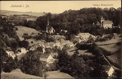 Ak Liebstadt Erzgebirge Sachsen, Schloss Kuckuckstein mit Ort