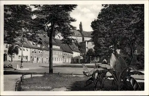 Ak Pirna, Blick auf den Tischerplatz mit Häusern, Park