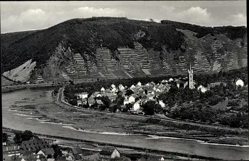 Ak Dieblich an der Mosel, Panorama