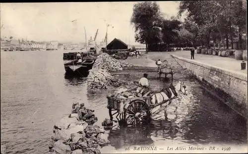 Ak Bayonne Pyrénées Atlantiques, Les Allees Marines
