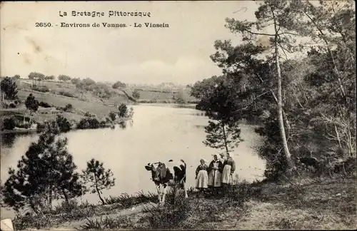 Ak Vannes Morbihan, Le Vinsein, Kuh
