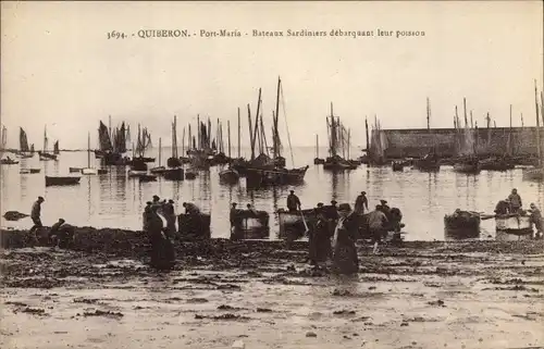 Ak Quiberon Morbihan, Port Maria, Bateaux Sardiniers debarquant leur poisson