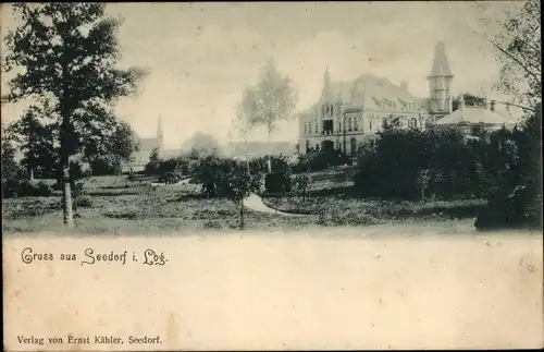 Ak Seedorf in Lauenburg, Teilansicht
