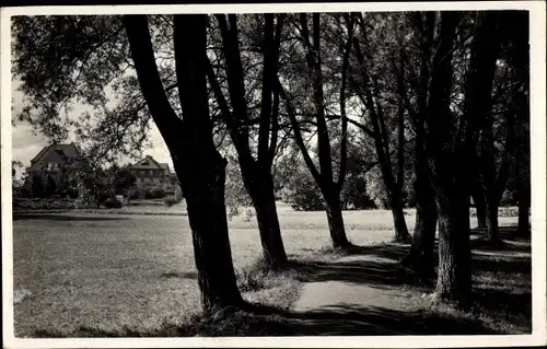 Foto Ak Drawsko Pomorskie Dramburg Pommern, Im Luisenhain, Promenade