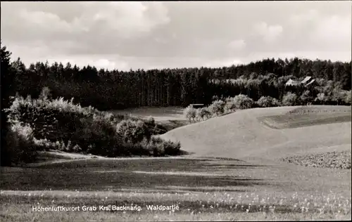 Ak Grab Großerlach in Baden Württemberg, waldpartie