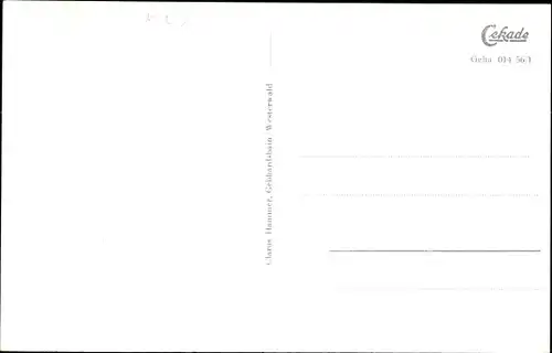 Ak Gebhardshain Westerwald, Panorama, Kirche