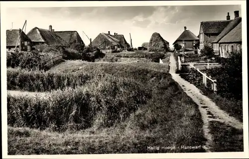 Ak Hallig Hooge in Nordfriesland, Hanswarf