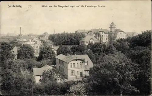 Ak Schleswig an der Schlei, Blick von Tiergartenkoppel auf Flensburger Straße