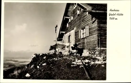 Ak Törwang Samerberg in Oberbayern, Hochries Gipfel Hütte, Kühe