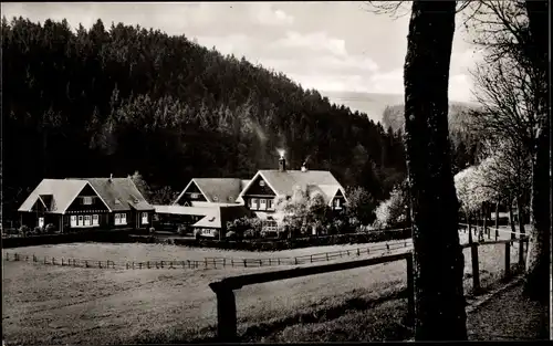 Ak Daun in der Eifel, Das Eifel Heim, Wald