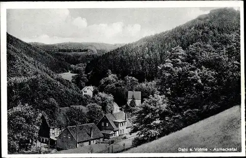 Ak Dahl Hagen in Westfalen, Asmecketal