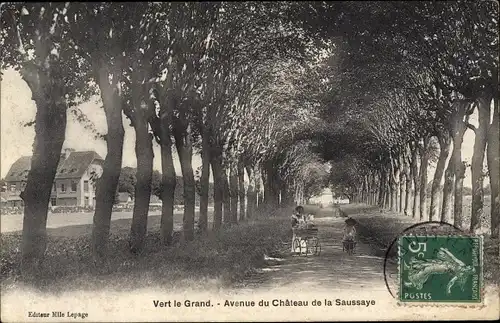 Ak Vert le Grand Essonne, Avenue du Chateau de la Saussaye