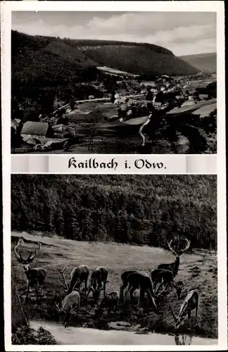 Ak Kailbach im Odenwald Oberzent, Panorama, Hirsche