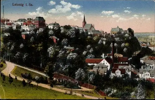 Ak Leisnig in Sachsen, Teilansicht