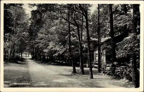 Ak Liegau Augustusbad Radeberg in Sachsen, Forellenschänke, Außenansicht, Waldweg