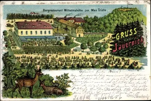 Litho Jauernick Buschbach Markersdorf Oberlausitz, Bergrestaurant Wilhelmshöhe