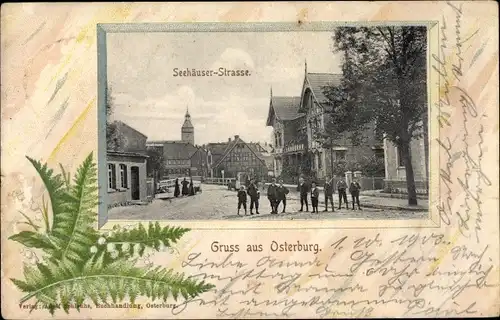 Passepartout Ak Osterburg in der Altmark, Seehäuser Straße