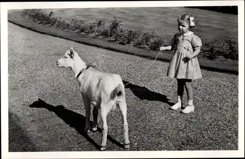 Ak Prinzessin Marijke der Niederlande mit Ziege, Palastgarten Soestdijk, 1951