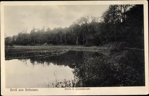 Ak Schwaan in Mecklenburg, Partie bei Lindenbruch