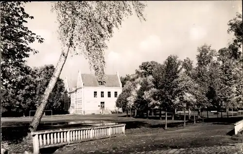 Ak Teterow in Mecklenburg, Im Stadtpark