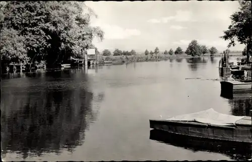 Ak Schwaan in Mecklenburg, Blick auf die Warnow