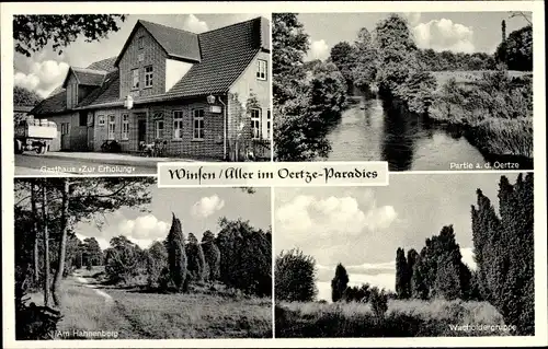 Ak Winsen an der Aller, Partie a. d. Oertze, Am Hahnenberg, Wacholdergruppe, Gasthaus z. Erholung