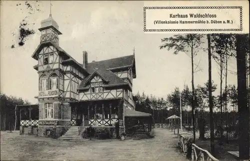 Ak Bad Düben an der Mulde Sachsen, Kurhaus Waldschloss, Villenkolonie Hammermühle