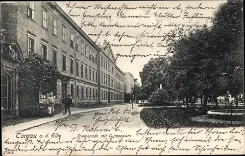 Ak Torgau an der Elbe, Promenade, Gymnasium