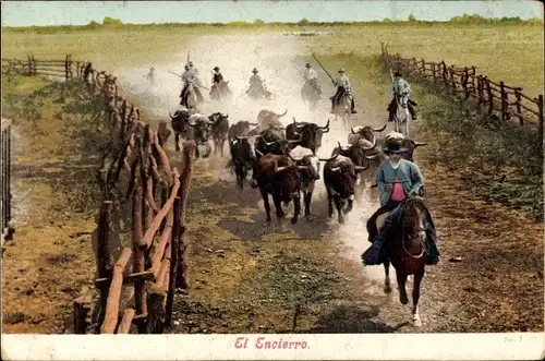 Ak El Encierro, Stiere treiben, Landwirtschaft, Pferde