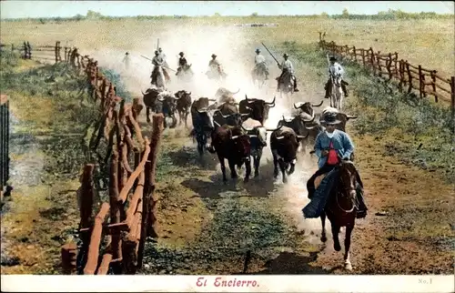 Ak El Encierro, Stiere treiben, Landwirtschaft, Pferde