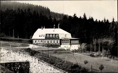 Ak Klingenberg in Sachsen, Jugendherberge, Wald