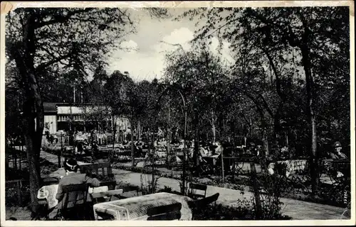 Ak Dresden Weißer Hirsch, Café Faust, Terrassenpartie