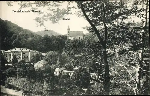 Ak Tharandt im Erzgebirge, Durchblick zur Kirche, Wald, Berge, Forstakademie