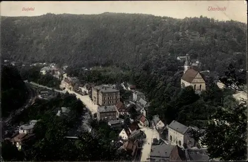 Ak Tharandt im Erzgebirge, Teilansicht, Kirche, Bodetal