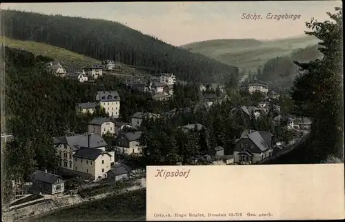 Ak Kipsdorf Altenberg im Erzgebirge, Teilansicht, Wald