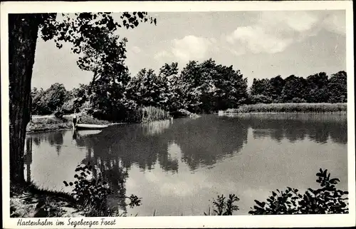 Ak Hartenholm Schleswig Holstein, Partie im Segeberger Forst, Wasserblick