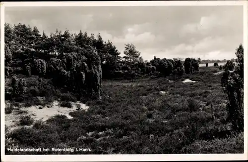 Ak Rotenburg an der Wümme, Heidelandschaft